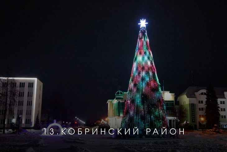 В Брестской области выбирают лучшую ёлку на онлайн-голосовании — Кобринский район под №13