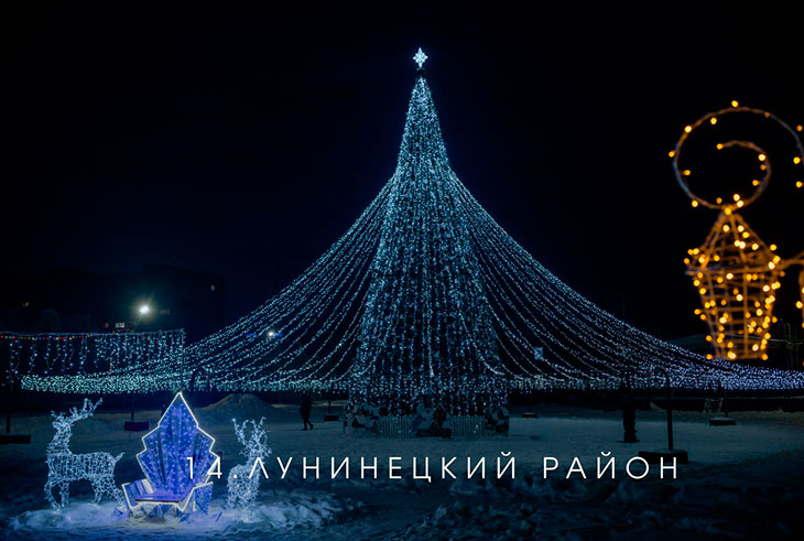 В Брестской области выбирают лучшую ёлку на онлайн-голосовании — Кобринский район под №13