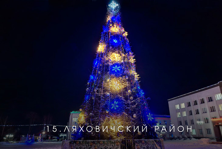 В Брестской области выбирают лучшую ёлку на онлайн-голосовании — Кобринский район под №13