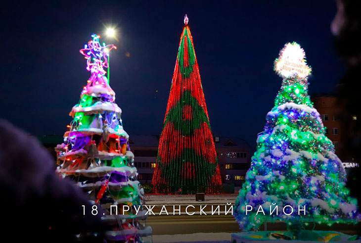 В Брестской области выбирают лучшую ёлку на онлайн-голосовании — Кобринский район под №13