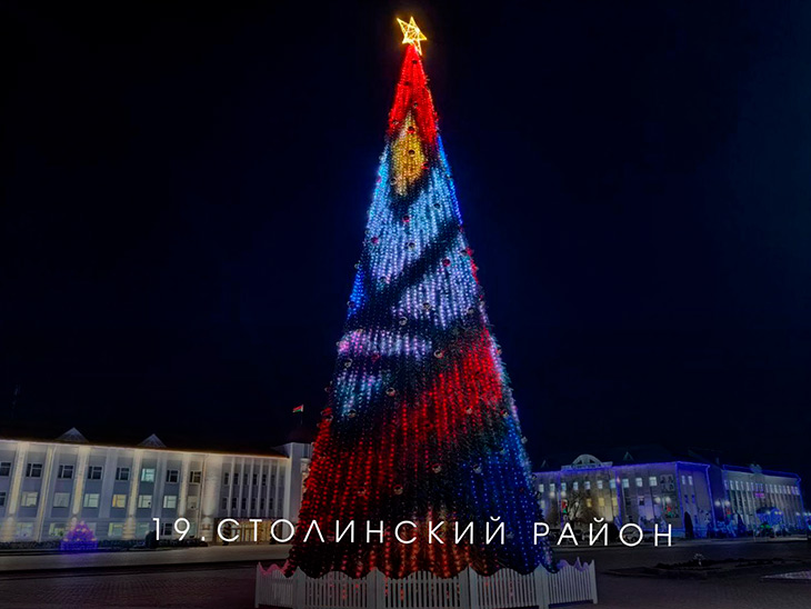 В Брестской области выбирают лучшую ёлку на онлайн-голосовании — Кобринский район под №13