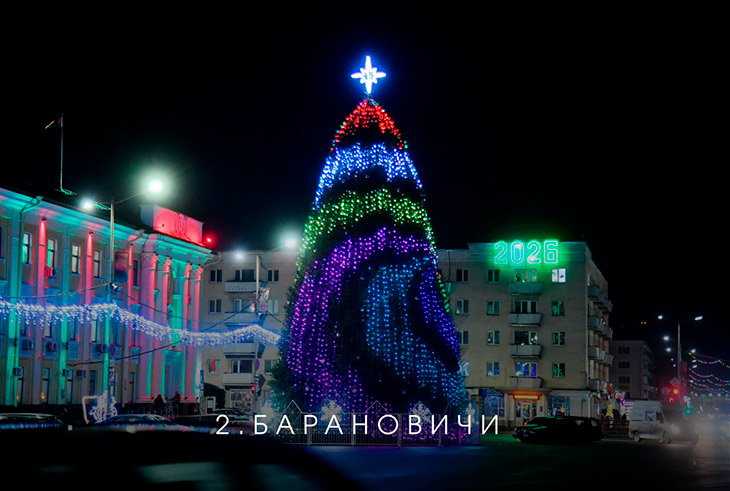 В Брестской области выбирают лучшую ёлку на онлайн-голосовании — Кобринский район под №13