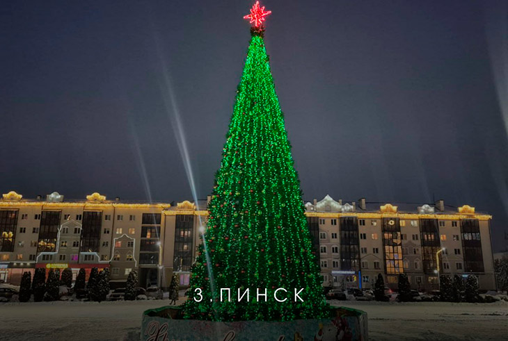 В Брестской области выбирают лучшую ёлку на онлайн-голосовании — Кобринский район под №13