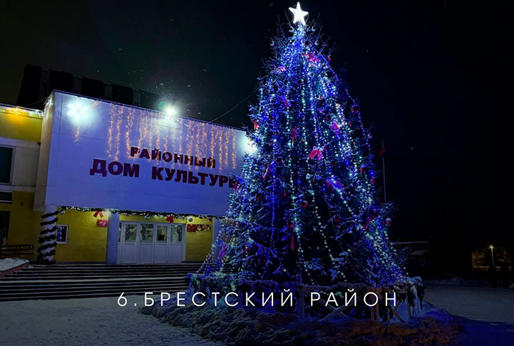В Брестской области выбирают лучшую ёлку на онлайн-голосовании — Кобринский район под №13