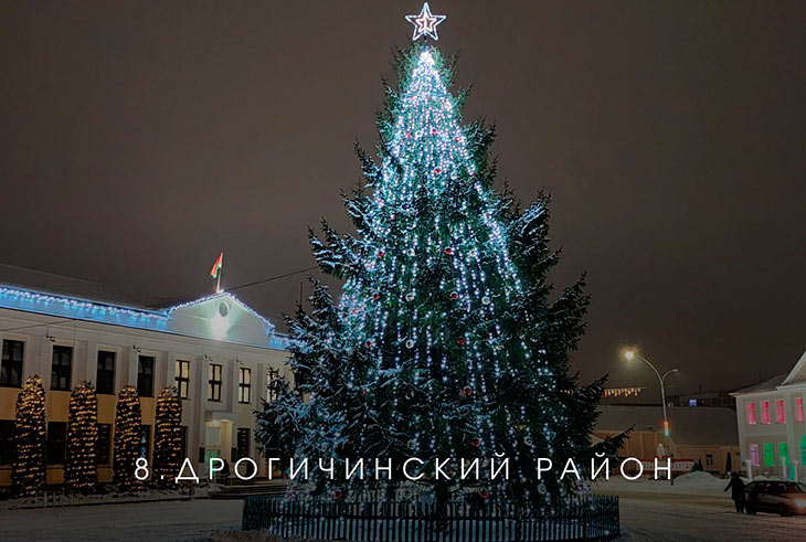 В Брестской области выбирают лучшую ёлку на онлайн-голосовании — Кобринский район под №13