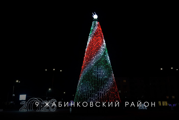 В Брестской области выбирают лучшую ёлку на онлайн-голосовании — Кобринский район под №13
