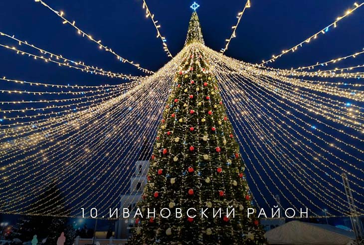 В Брестской области выбирают лучшую ёлку на онлайн-голосовании — Кобринский район под №13