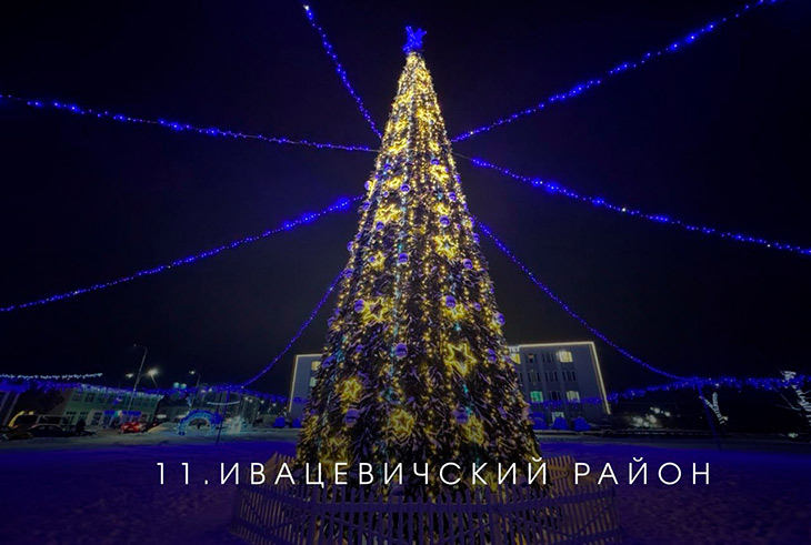 В Брестской области выбирают лучшую ёлку на онлайн-голосовании — Кобринский район под №13