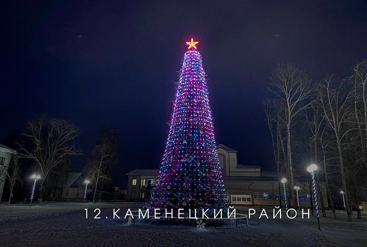 В Брестской области выбирают лучшую ёлку на онлайн-голосовании — Кобринский район под №13