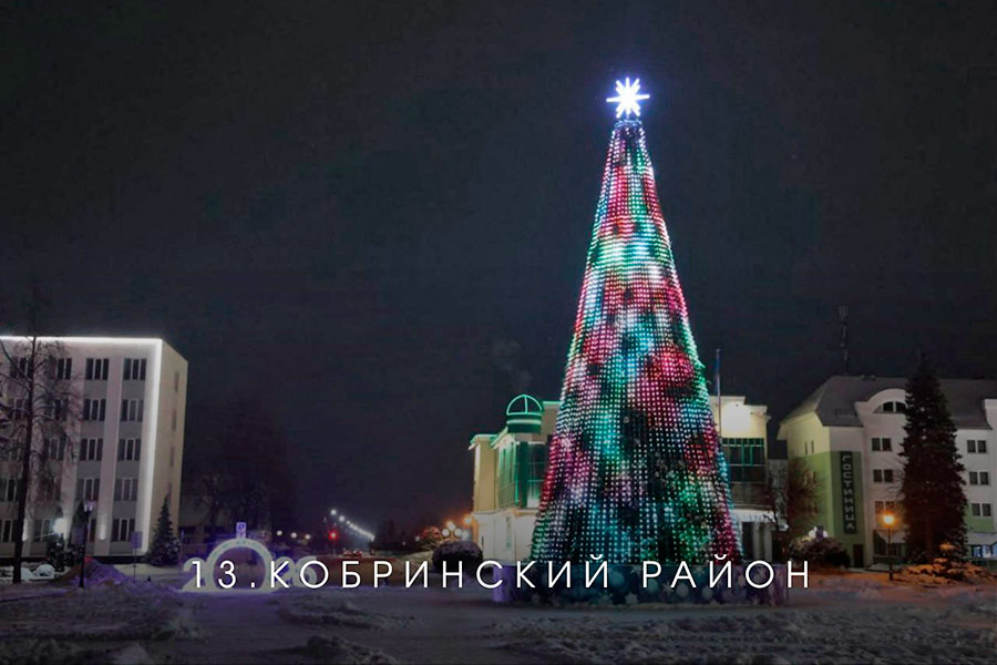 В Брестской области выбирают лучшую ёлку на онлайн-голосовании — Кобринский район под №13