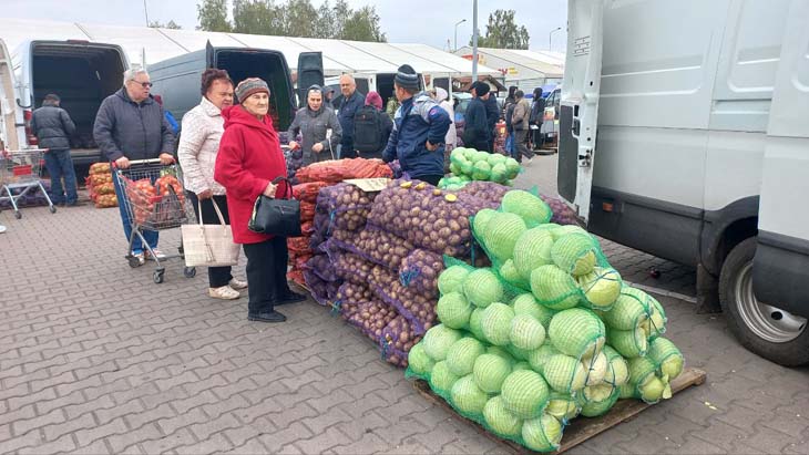 Большая сельскохозяйственная ярмарка прошла возле ТЦ «Полесье» в Кобрине — что и почём можно было найти сегодня