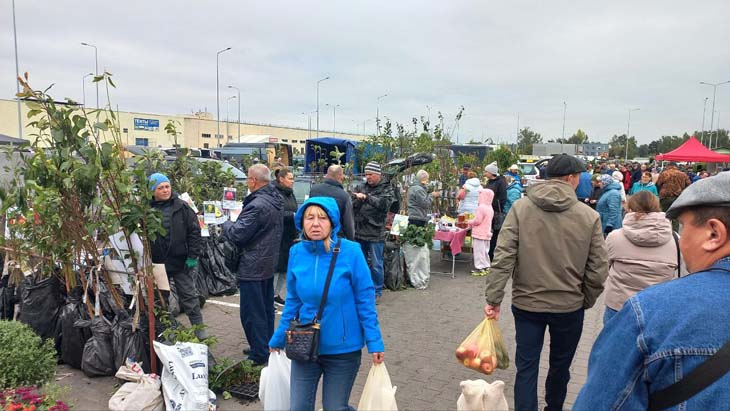 Большая сельскохозяйственная ярмарка прошла возле ТЦ «Полесье» в Кобрине — что и почём можно было найти сегодня