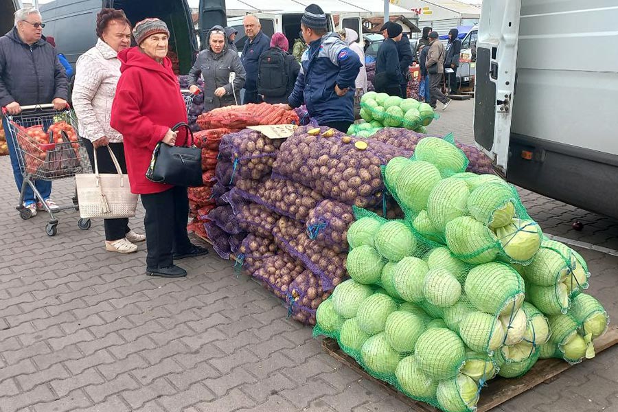 Большая сельскохозяйственная ярмарка прошла возле ТЦ «Полесье» в Кобрине — что и почём можно было найти сегодня