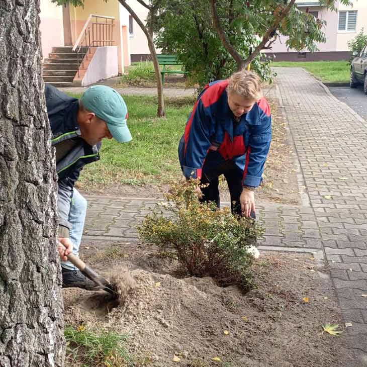 В Кобрине высадили около 900 деревьев, растений и кустарников в рамках «Единого дня озеленения»