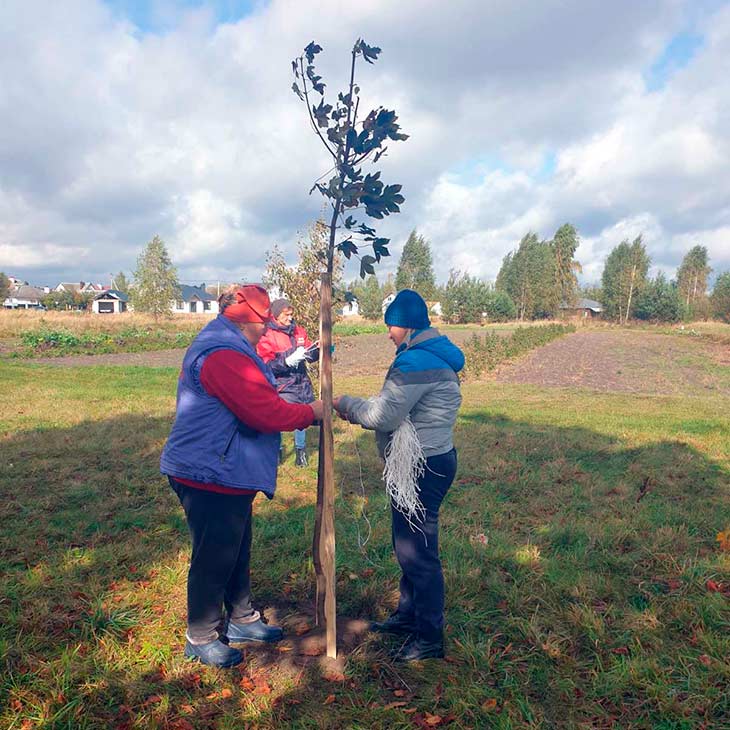 В Кобрине высадили около 900 деревьев, растений и кустарников в рамках «Единого дня озеленения»