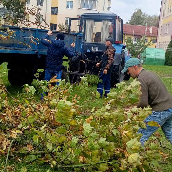 В Кобрине высадили около 900 деревьев, растений и кустарников в рамках «Единого дня озеленения»