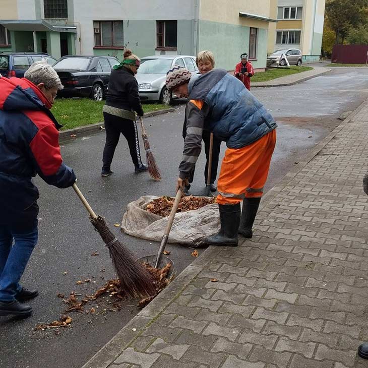 В Кобрине высадили около 900 деревьев, растений и кустарников в рамках «Единого дня озеленения»