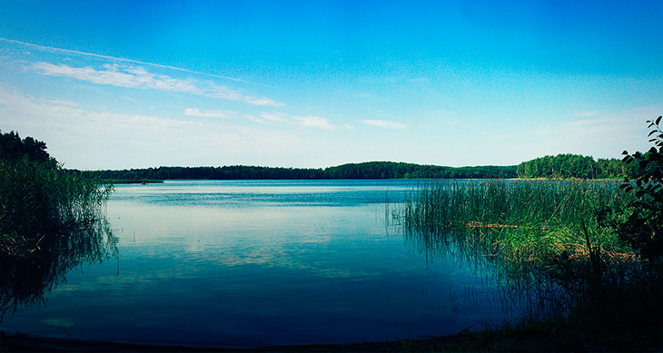 svityaz