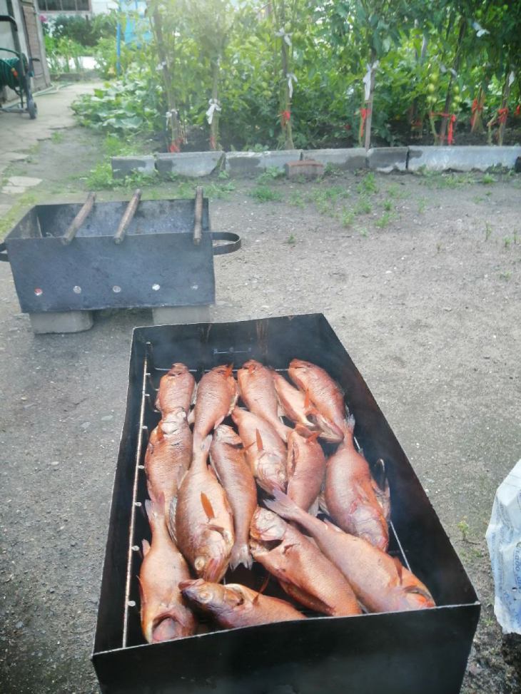 rybalka kurishko 3
