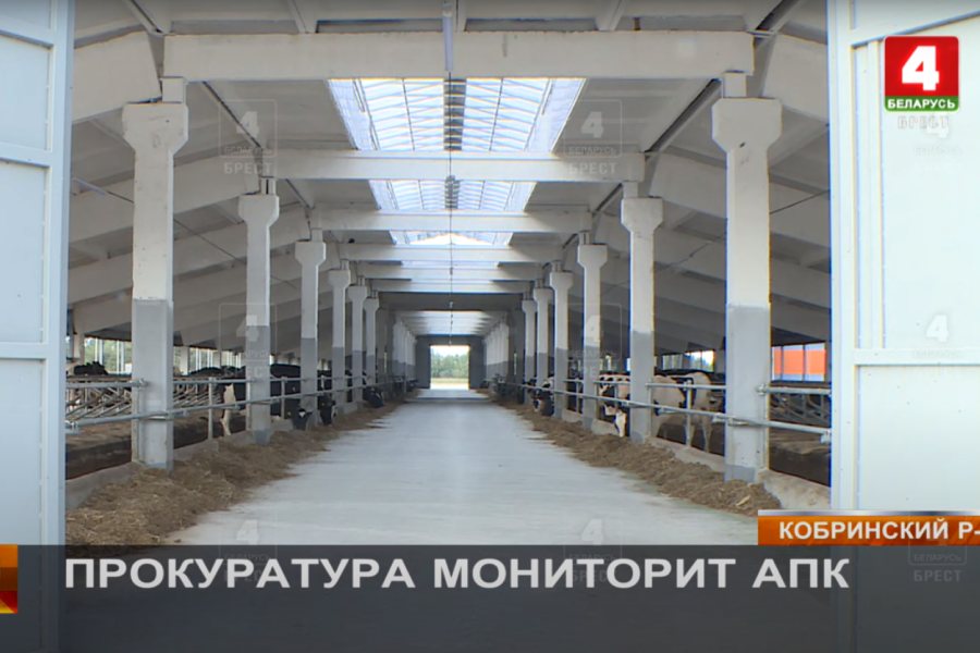 Злоупотребление служебными полномочиями — ущерб сельхозпредприятию Кобринского района составил свыше 192 тыс. рублей