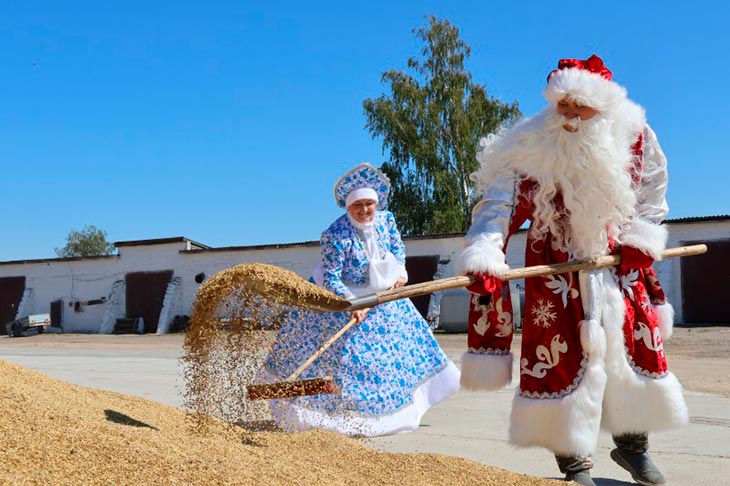 ded moroz i snegurka na polyah 13