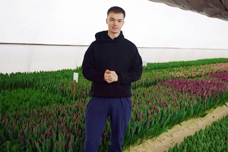 24-летний парень из Брестской области делает бизнес на тюльпанах — зарабатывает 35 тысяч евро за сезон