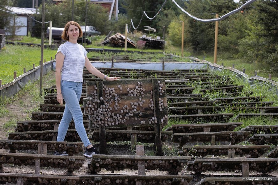 Семья сделала бизнес на выращивании фермерских улиток в Брестской области — выгодным ли оказалось дело