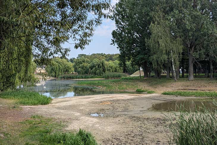 В Брестской области третий год мелеют водоемы: в чем причина и есть ли выход