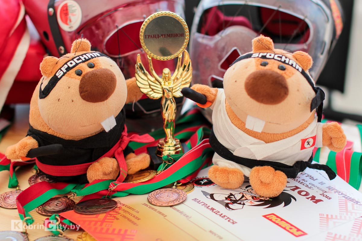 Спочан. Страна игрушек «Полесье 2018». Кобрин