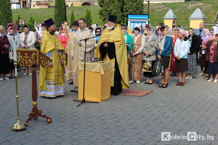 densemyi07