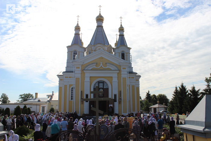densemyi08