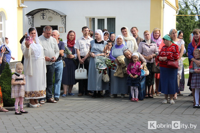 densemyi13