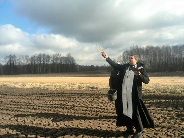 gorodec posevnaya03