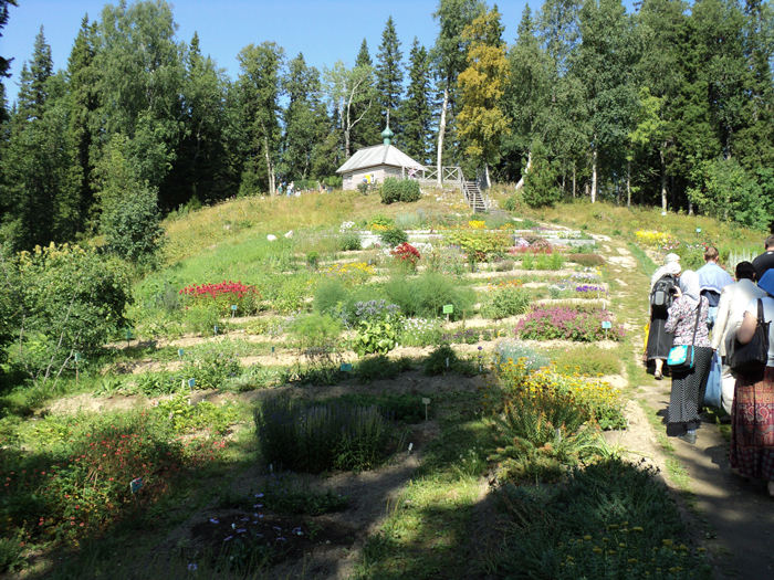 solovki12