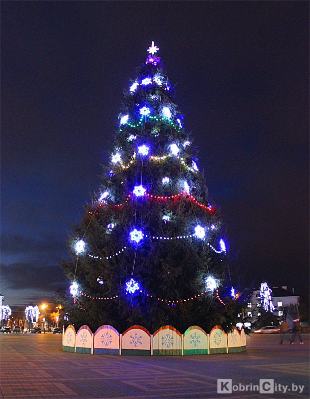 Kobrin 2016
