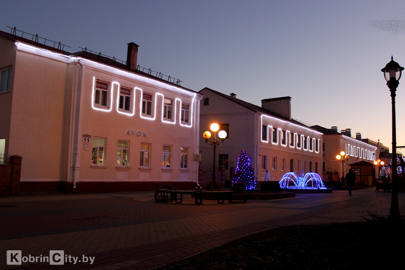 Kobrin 2016