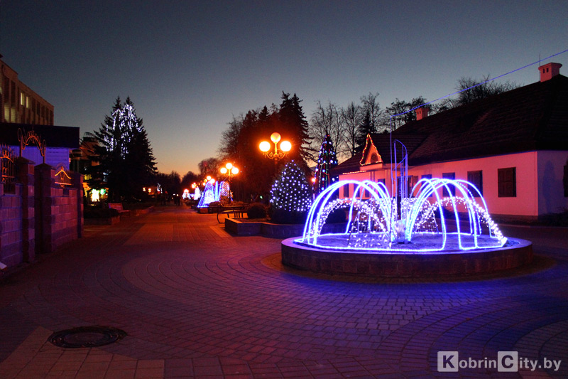 Kobrin 2016