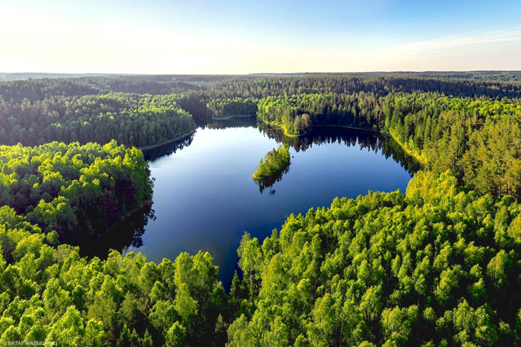 Narothanskiy01