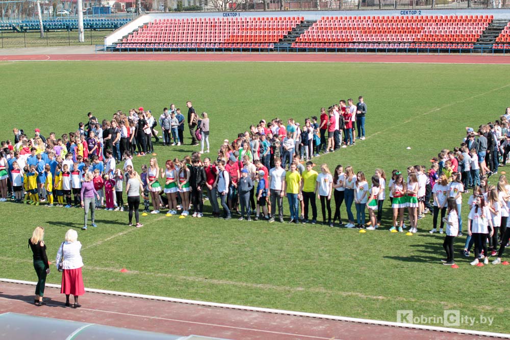 brsm kobrin 004