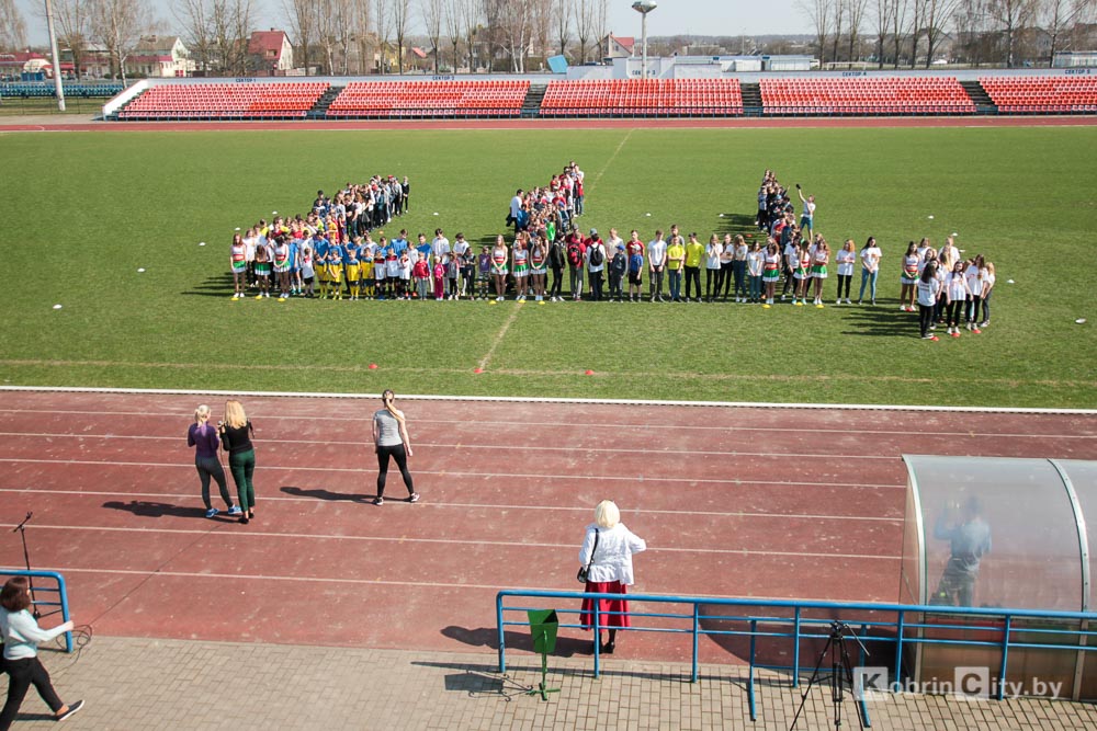 brsm kobrin 005
