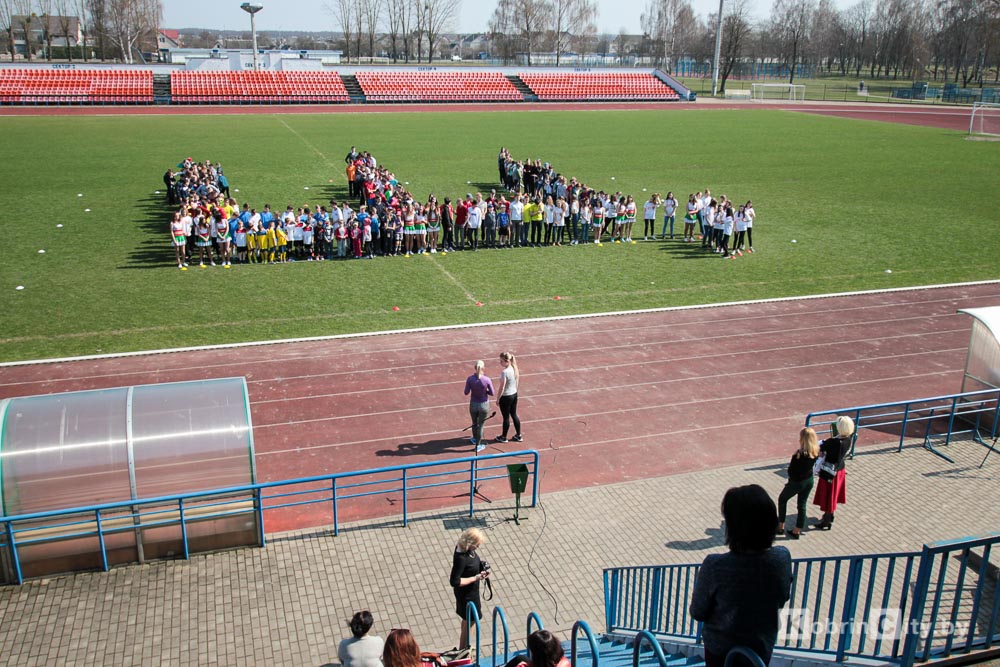 brsm kobrin 007