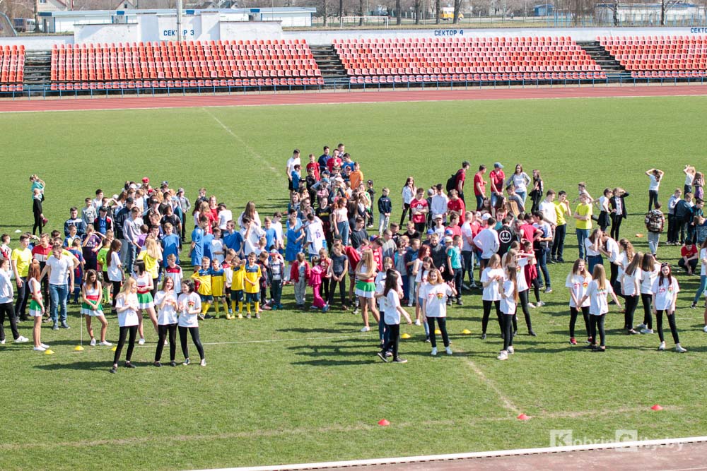 brsm kobrin 008