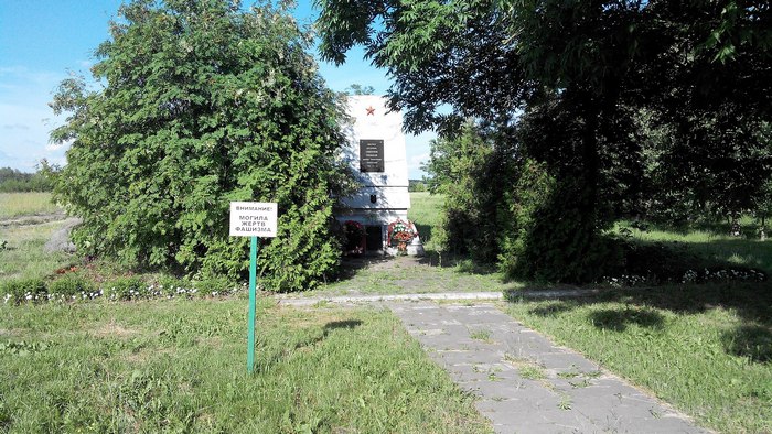 Фото сайта wikipedia.org использовано в качестве иллюстрации