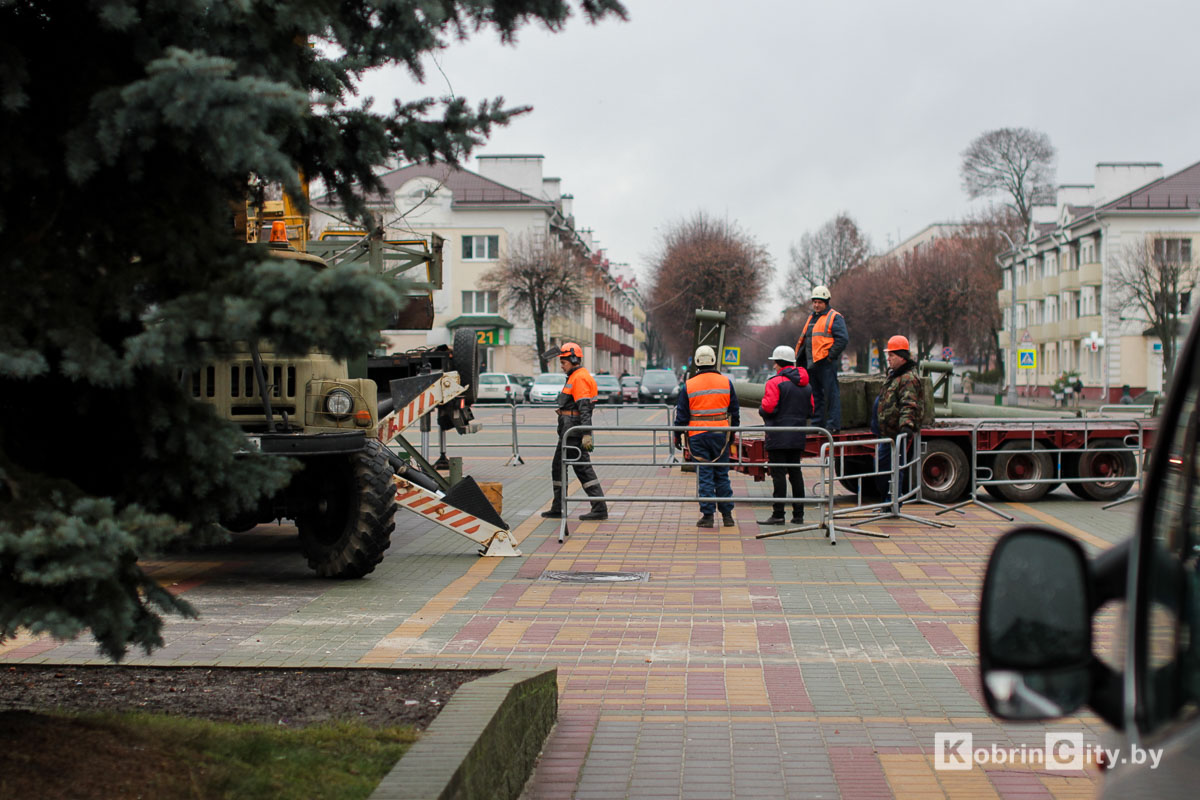 В центре Кобрина 10 декабря начали устанавливать новогоднюю ёлку
