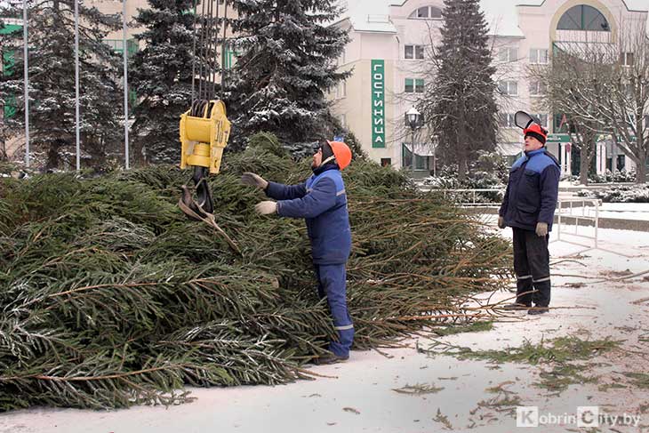В центре Кобрина устанавливают традиционную новогоднюю елку