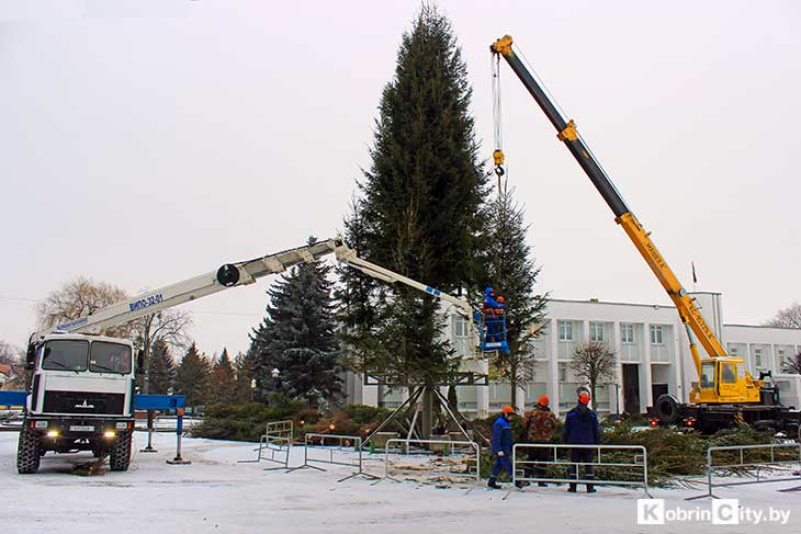 В центре Кобрина устанавливают традиционную новогоднюю елку