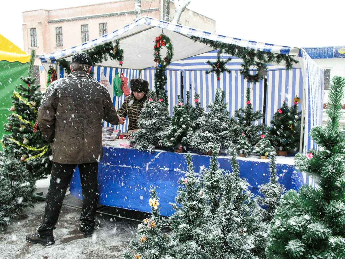 ng old kobrin 006