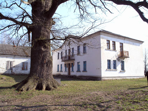 dub grushevo 1
