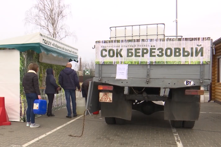 Свежий березовый сок из Кобринского лесхоза теперь продают и в Кобрине: за четыре дня отгрузили уже около 6,5 тонн