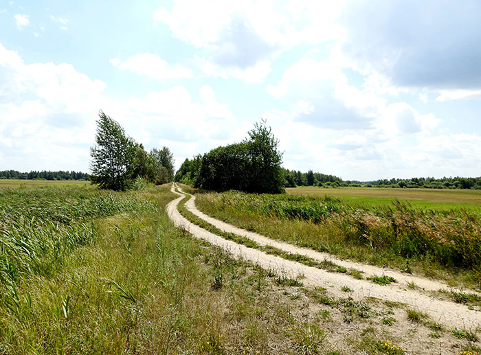 Y 07 2108 13